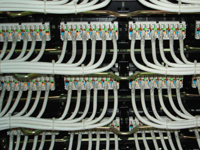 W(wng)jڼͥxúmľW(wng)